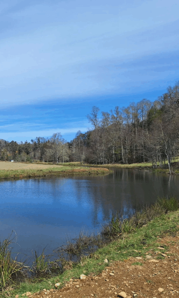 diseño sin título (28)