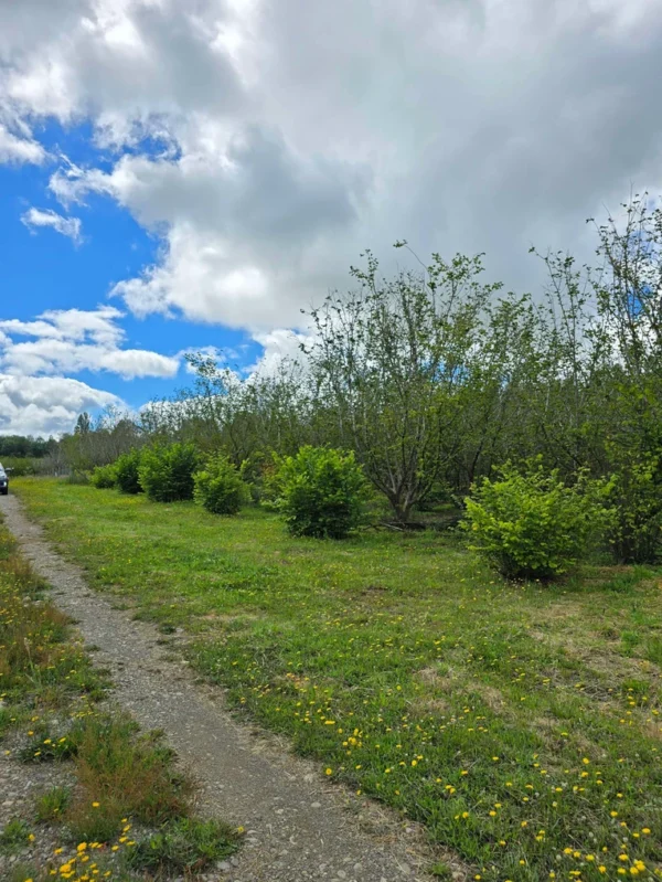 a 16 min de villarrica parcelas con luz y agua condominio los avellanos