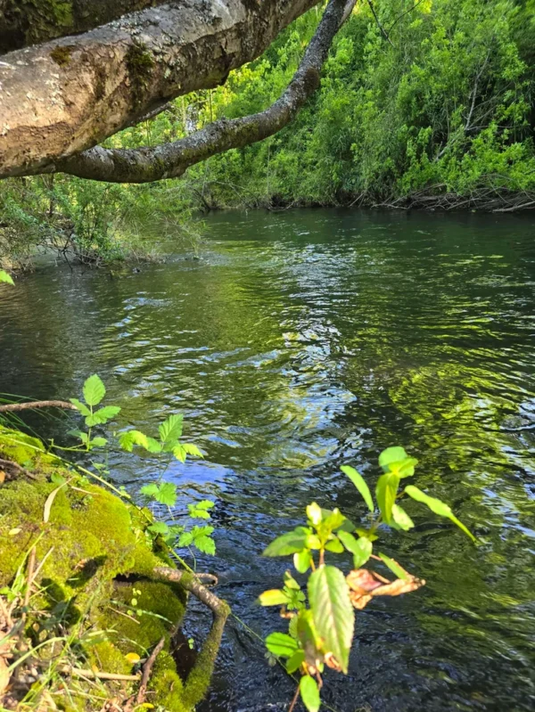 refugio el volcán villarrica