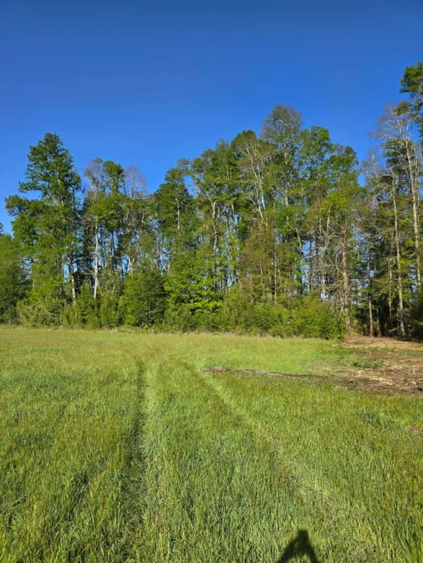 refugio el volcán villarrica