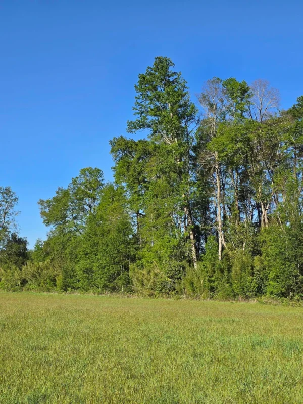 refugio el volcán villarrica