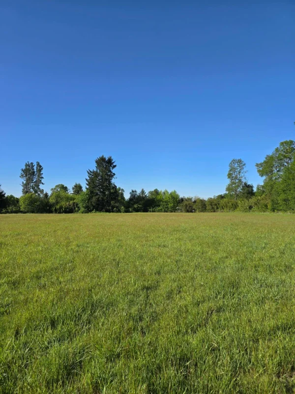 refugio el volcán villarrica