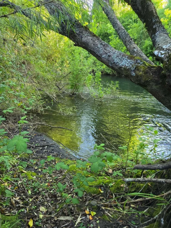 refugio el volcán villarrica