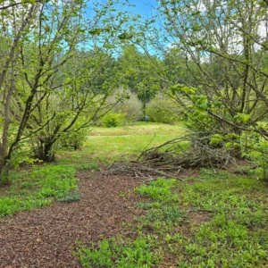 a 16 min de villarrica parcelas con luz y agua condominio los avellanos