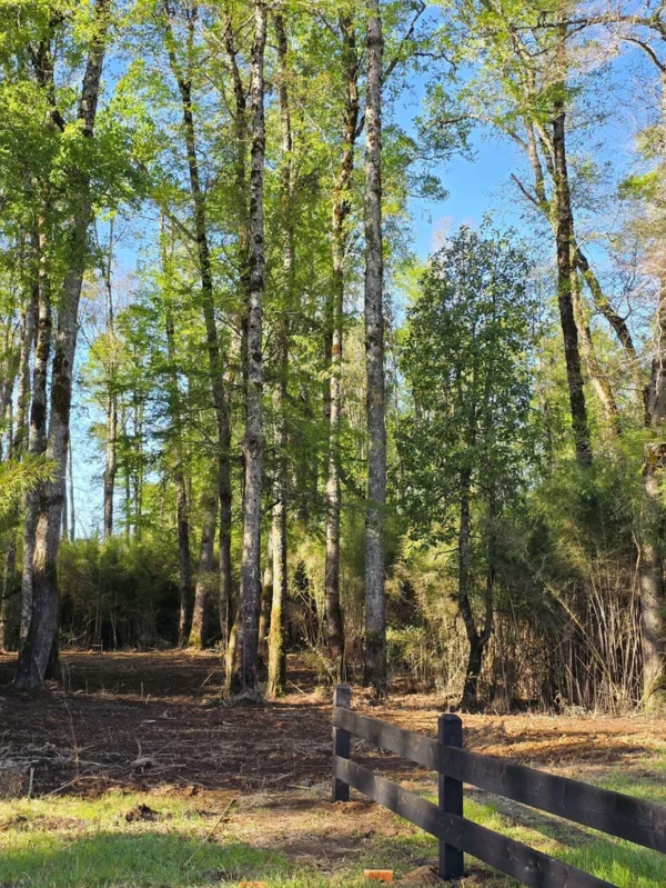 refugio el volcán villarrica