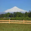 refugio el volcán villarrica