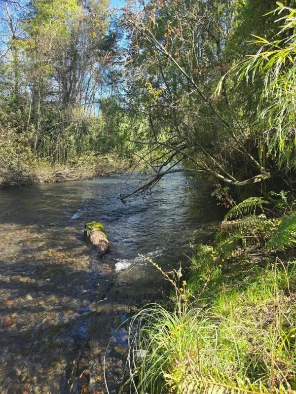 refugio el volcán villarrica