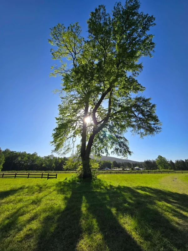 refugio el volcán villarrica
