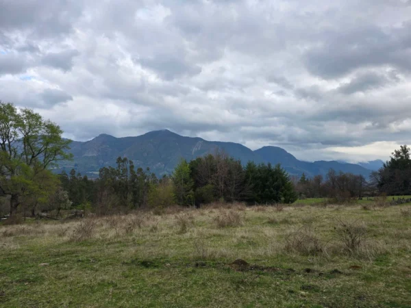 parcelas ruta cunco melipeuco