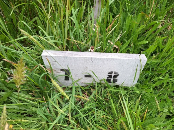 aires de paillaco $23.990.000