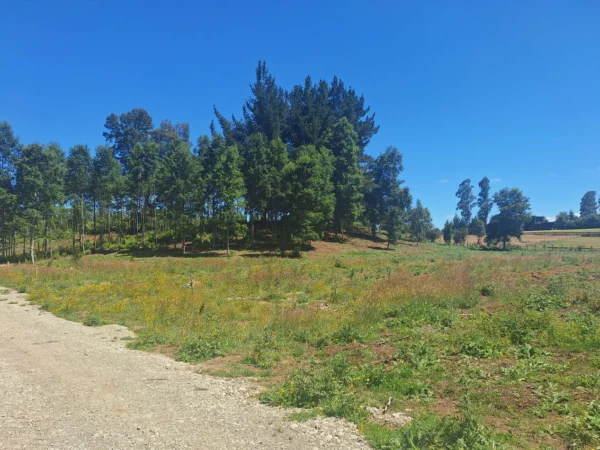 a solo 15 min de villarrica $38.000.000 crédito directo