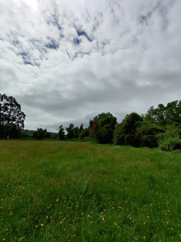 aires de paillaco $23.990.000