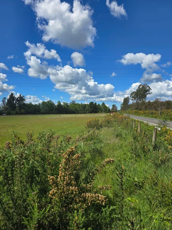 campo san nicolás Últimas parcelas disponibles