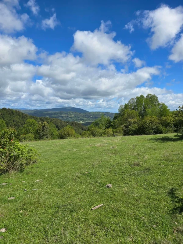 a 20 min de licanray parcelas de 1 hectárea con estero