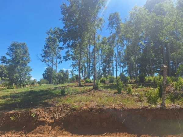 a solo 15 min de villarrica $38.000.000 crédito directo