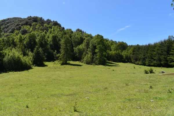 la comarca a solo 10 km de villarrica desde $39.990.000