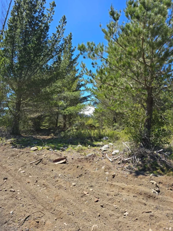 parcelas a minutos del lago calafquén $30.000.000
