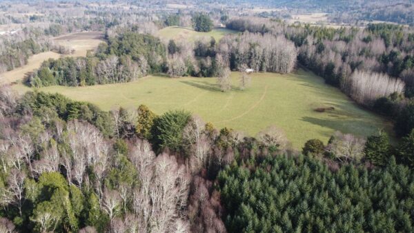 raíces de relún a 15 km de villarrica