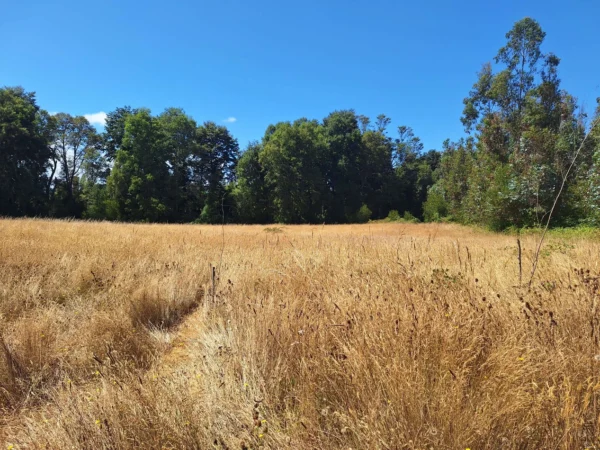 parque nativo sector huaqui $30.000.000 opción de crédito directo