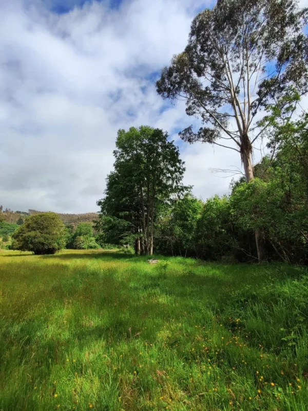 aires de paillaco $23.990.000