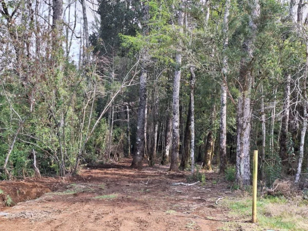 a 20 min de villarrica parcelas con luz, agua y cercadas
