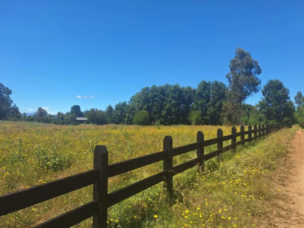 a solo 15 min de villarrica $38.000.000 crédito directo