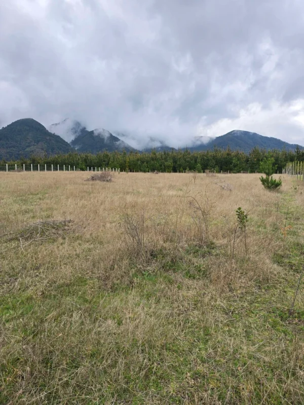 parcelas ruta cunco melipeuco