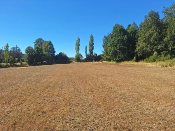 séptima faja hermosas parcelas a 20 min de villarrica desde $28.000.000