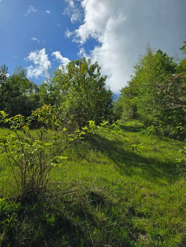a 20 min de licanray parcelas de 1 hectárea con estero