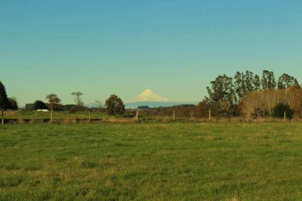 terrazas de crucero desde $25.000.000