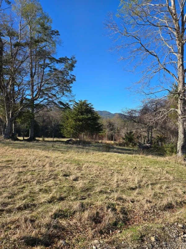 parcelas pino huacho lican ray