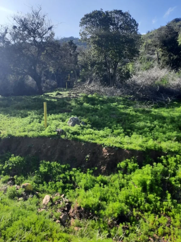 los molinos puerto octay (copia)