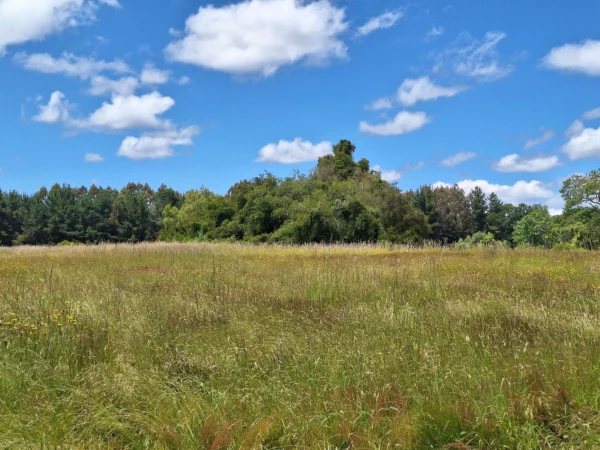 fundo santa clara $24.990.000 Últimas parcelas