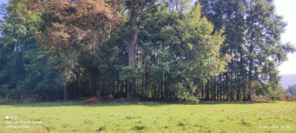 parcelas en relún a 15 km de villarrica