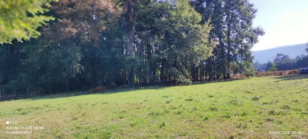 parcelas en relún a 15 km de villarrica