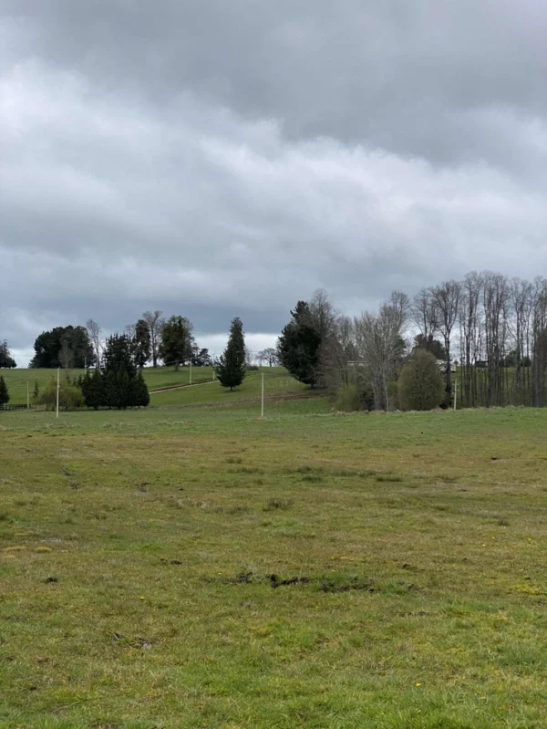 terrazas de crucero desde $25.000.000