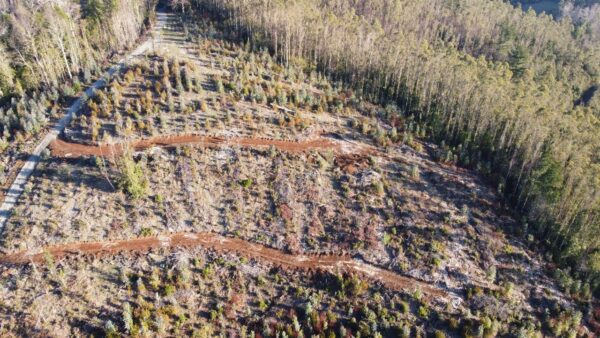 parcela de 1,9 hectáreas loncoche $39.990.000