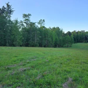 raíces de relún a 15 km de villarrica