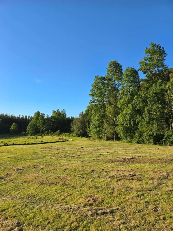 la comarca a solo 10 km de villarrica desde $39.990.000