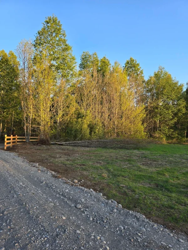 raíces de relún a 15 km de villarrica