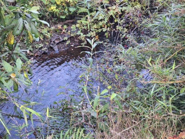 rinconada a solo 15 min de villarrica