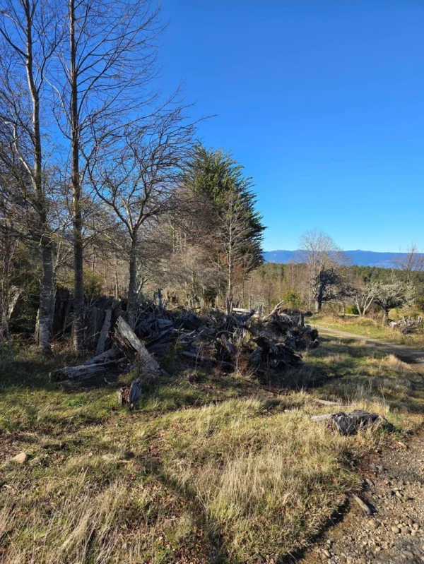 parcelas pino huacho lican ray