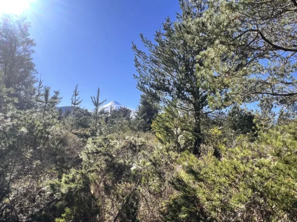 parcelas a minutos del lago calafquén $30.000.000