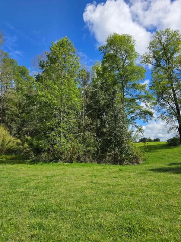 rinconada a solo 15 min de villarrica