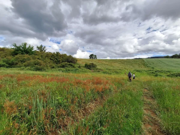 refugio huellanto sexta faja desde $19.990.000