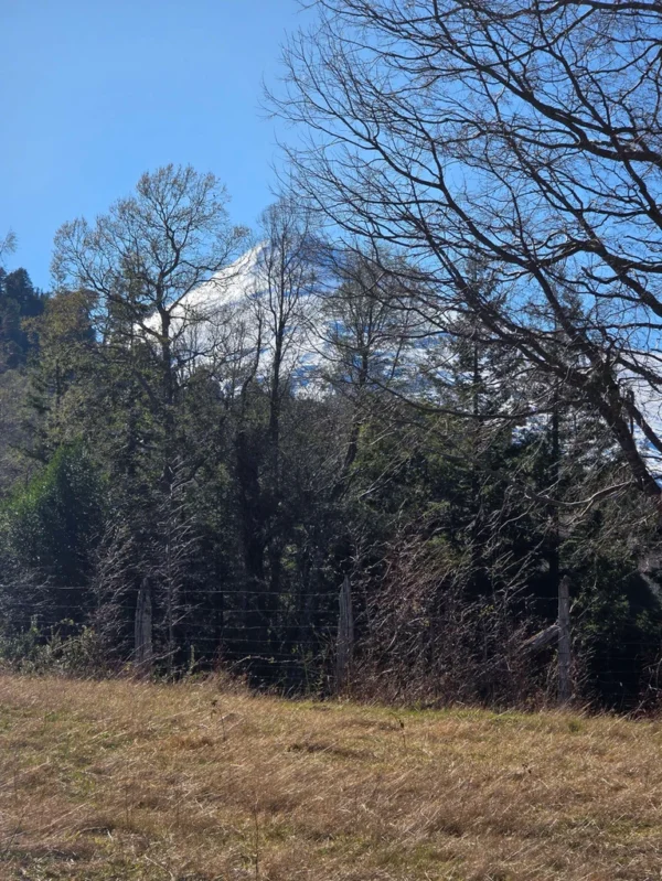 parcelas pino huacho lican ray