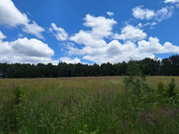 fundo santa clara $24.990.000 Últimas parcelas