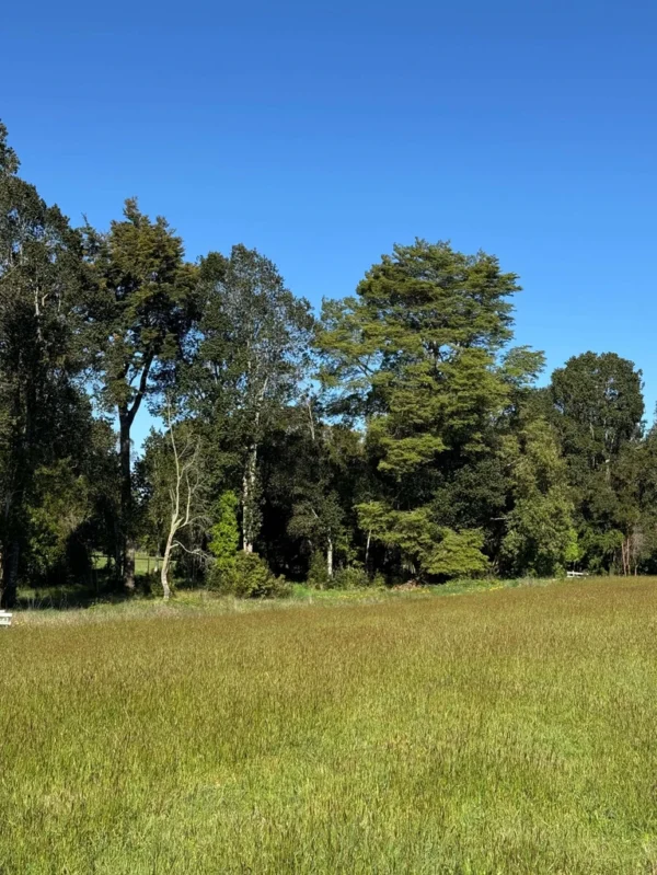 los molinos puerto octay