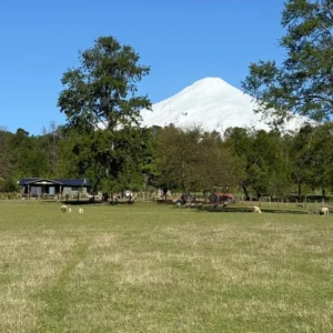 cumbres de pucón $29.990.000