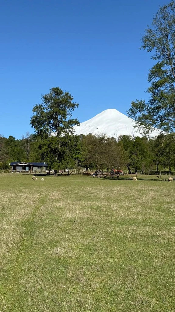 Cumbres de Puc贸n $29.990.000 cumbres de puc贸n $29.990.000